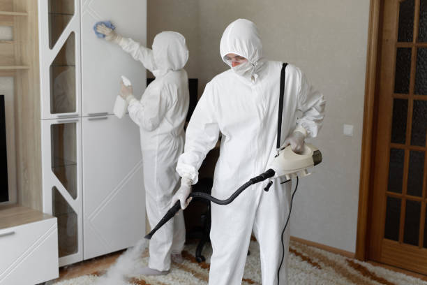 Best Commercial Mold Removal  in Terry, MS